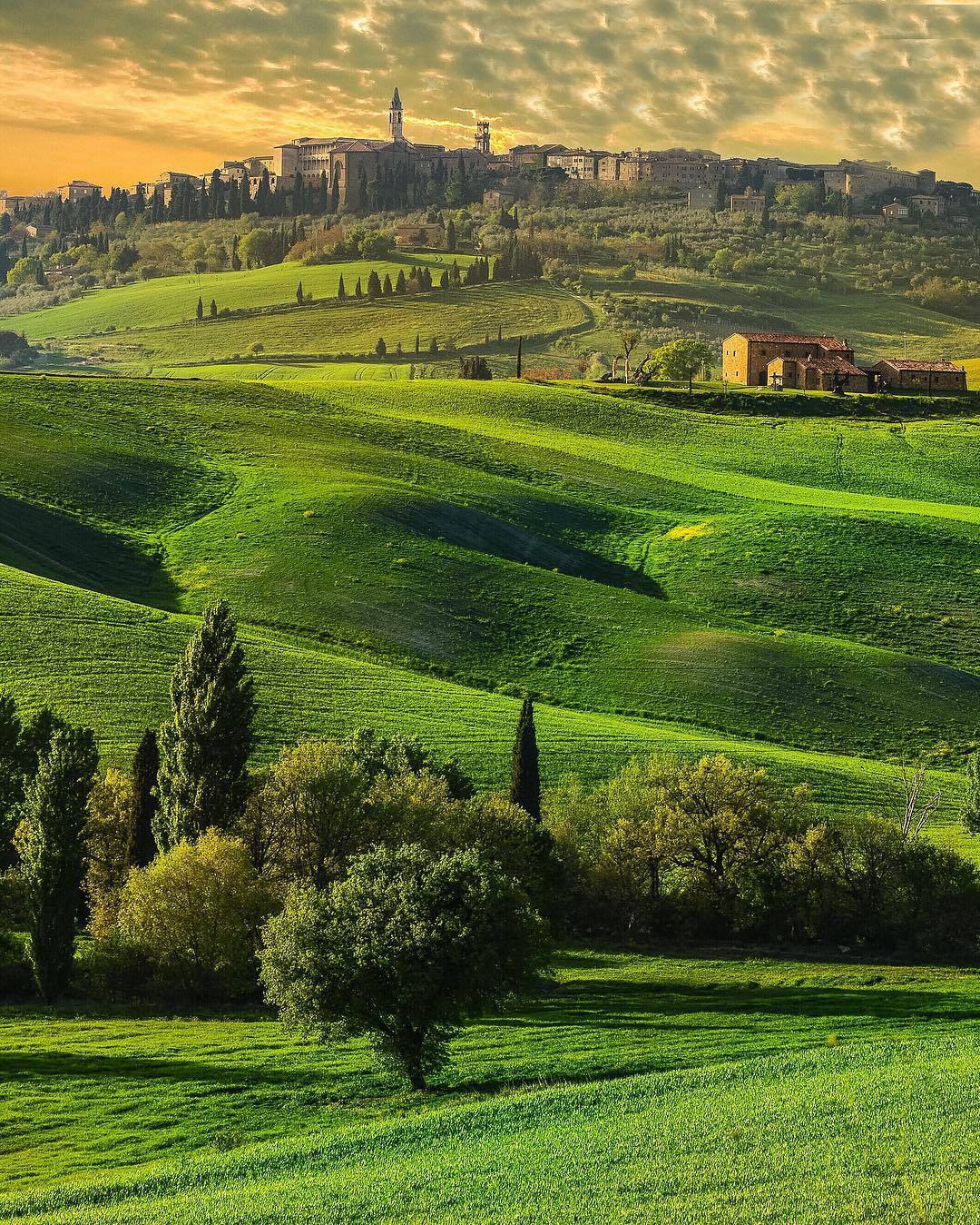 Le colline della Val d'Orcia con i cipressi al tramonto