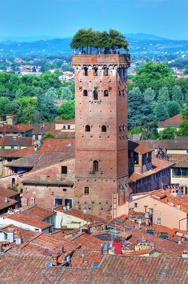 Torre Guinigi con i lecci in cima